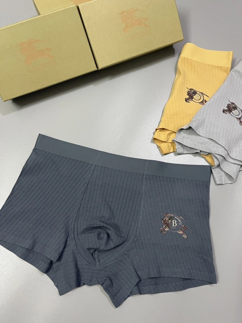 Versatile Burberry Underwear 276502