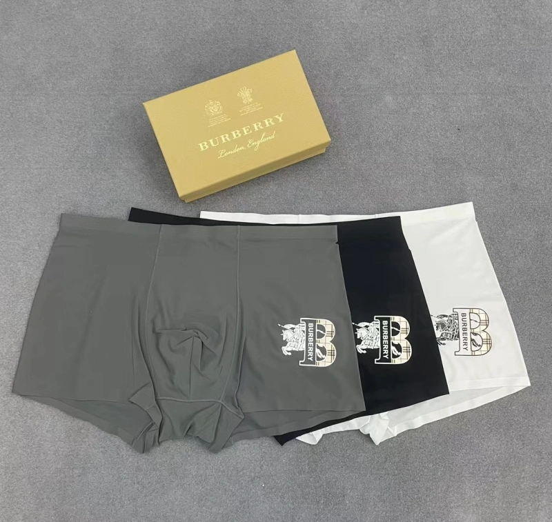 Attractive Burberry Underwear 276523