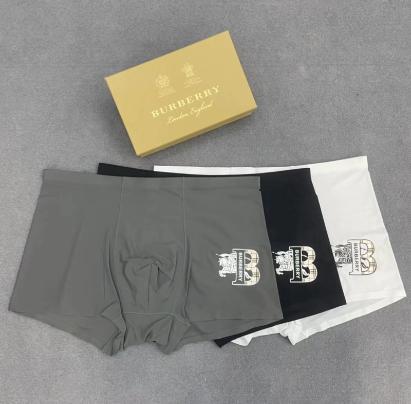 Attractive Burberry Underwear 276523