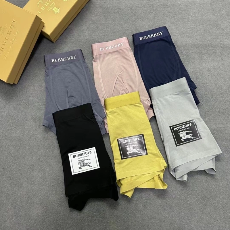 Burberry Underwear Casual 276528