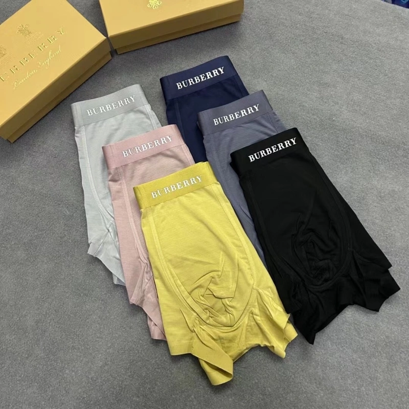 Burberry Underwear Casual 276528