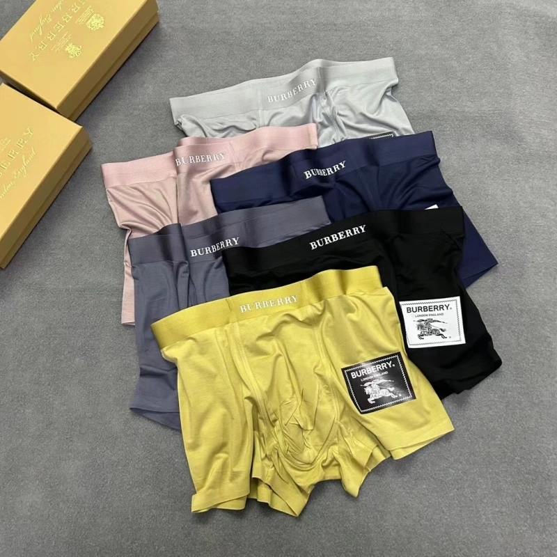 Burberry Underwear Casual 276528