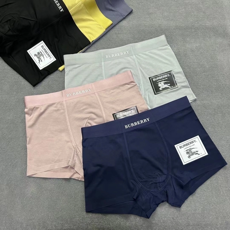 Burberry Underwear Casual 276528