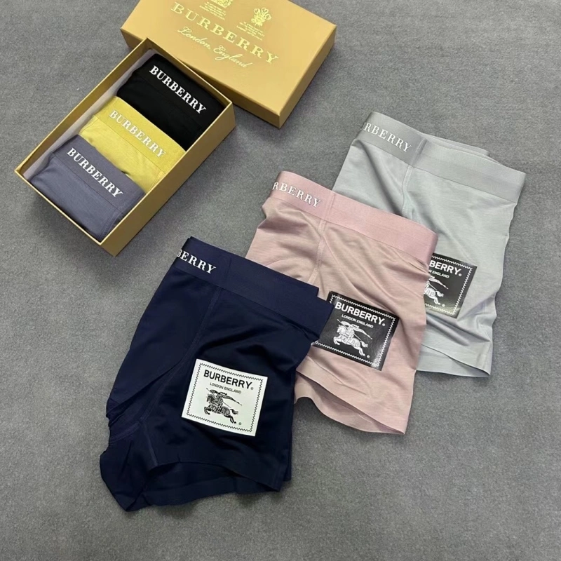 Burberry Underwear Casual 276528