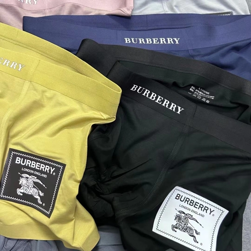 Burberry Underwear Casual 276528