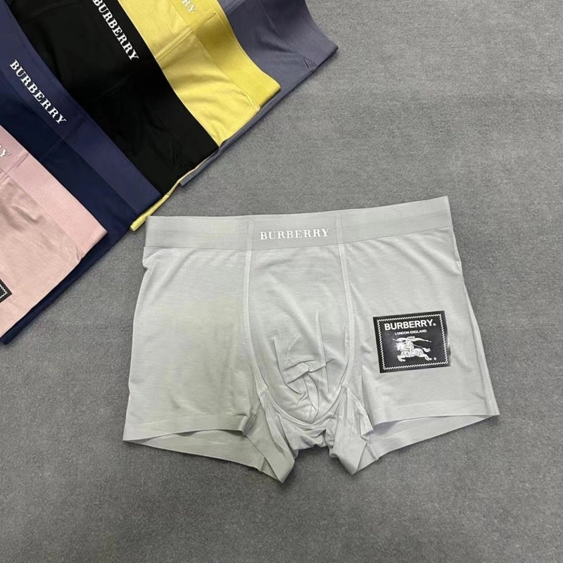 Burberry Underwear Casual 276528