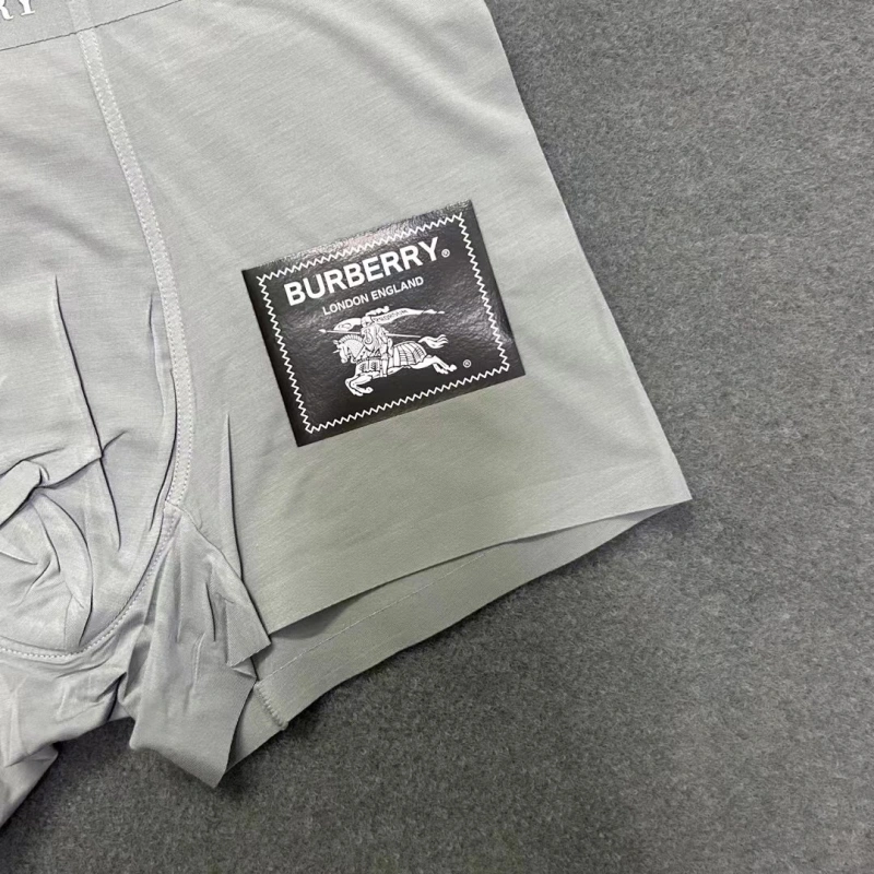 Burberry Underwear Casual 276528
