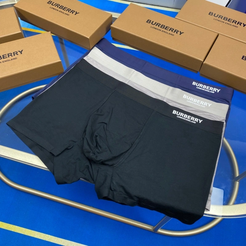 Burberry Underwear DailyWear 276504