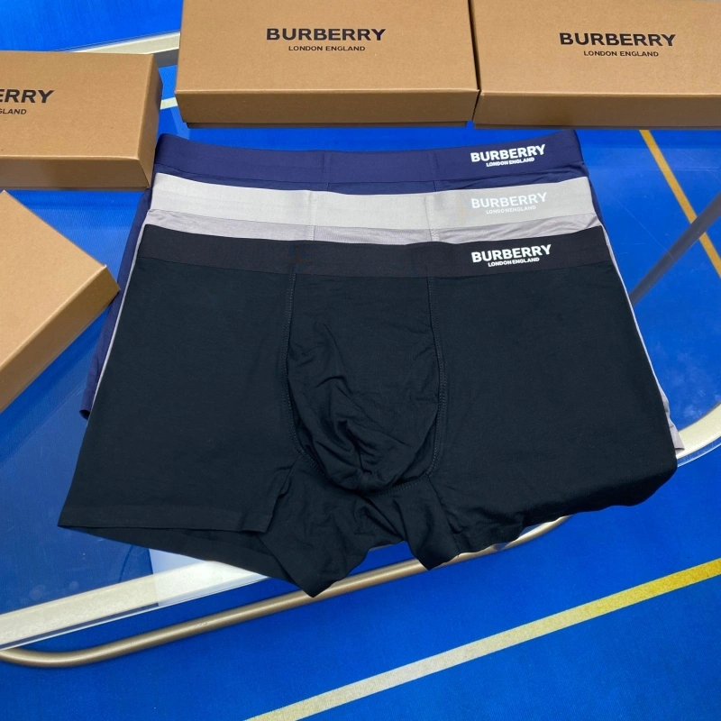 Burberry Underwear DailyWear 276504