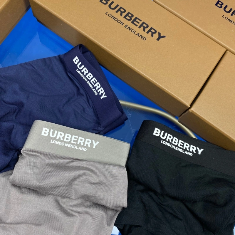 Burberry Underwear DailyWear 276504