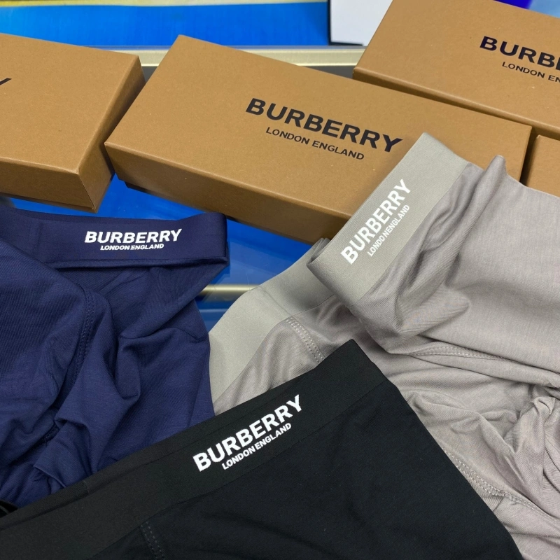 Burberry Underwear DailyWear 276504