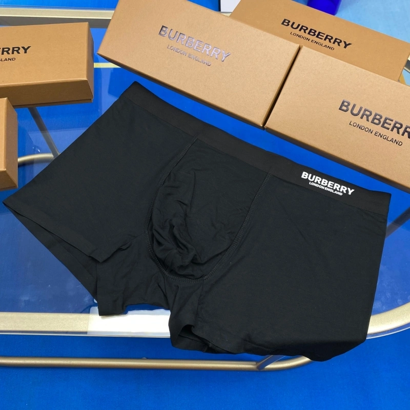 Burberry Underwear DailyWear 276504