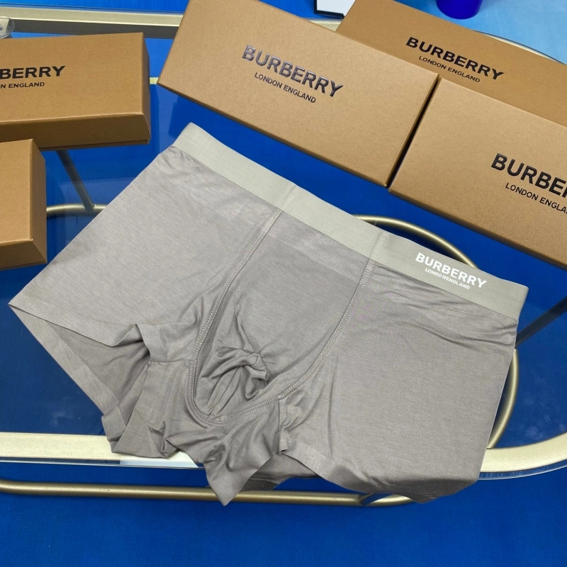 Burberry Underwear DailyWear 276504