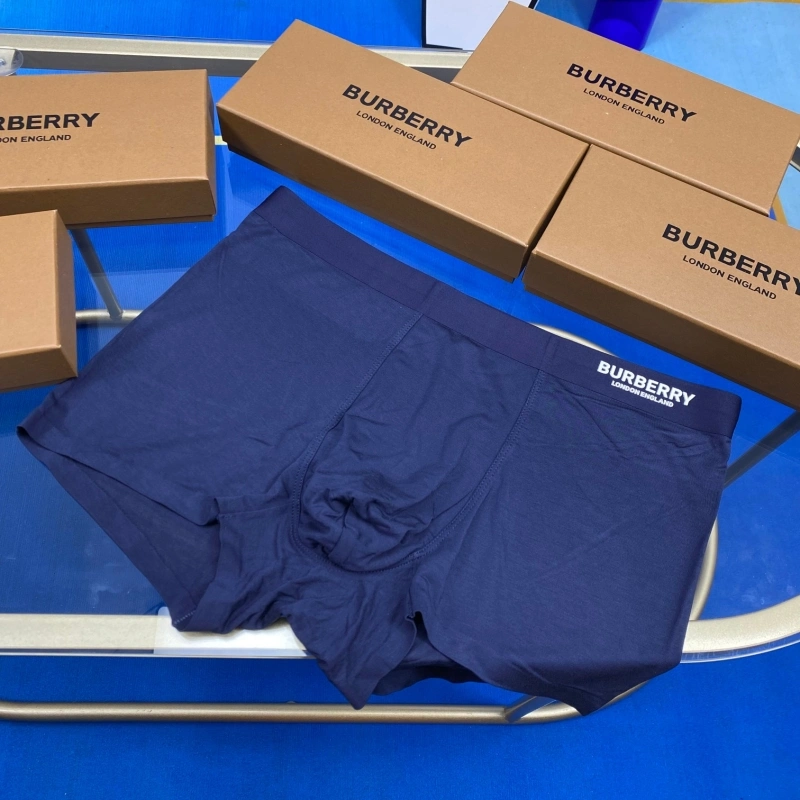Burberry Underwear DailyWear 276504