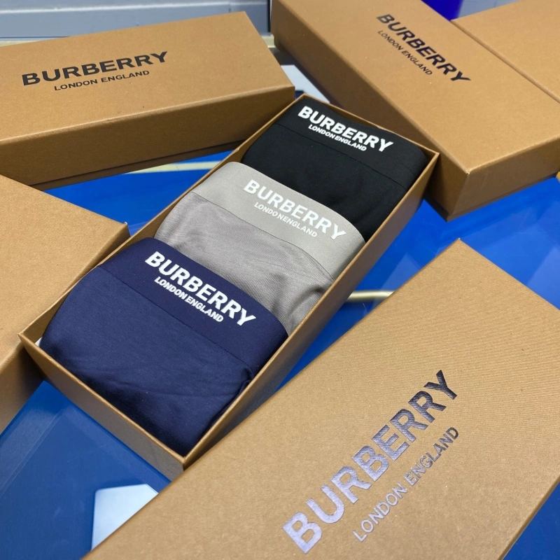 Burberry Underwear DailyWear 276504