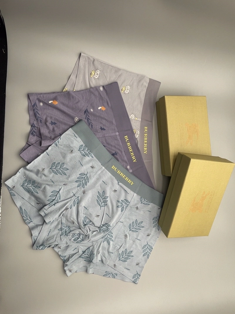 Refined Burberry Underwear 276522