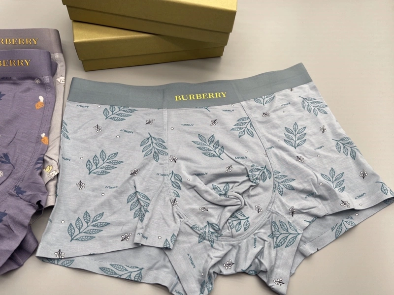 Refined Burberry Underwear 276522