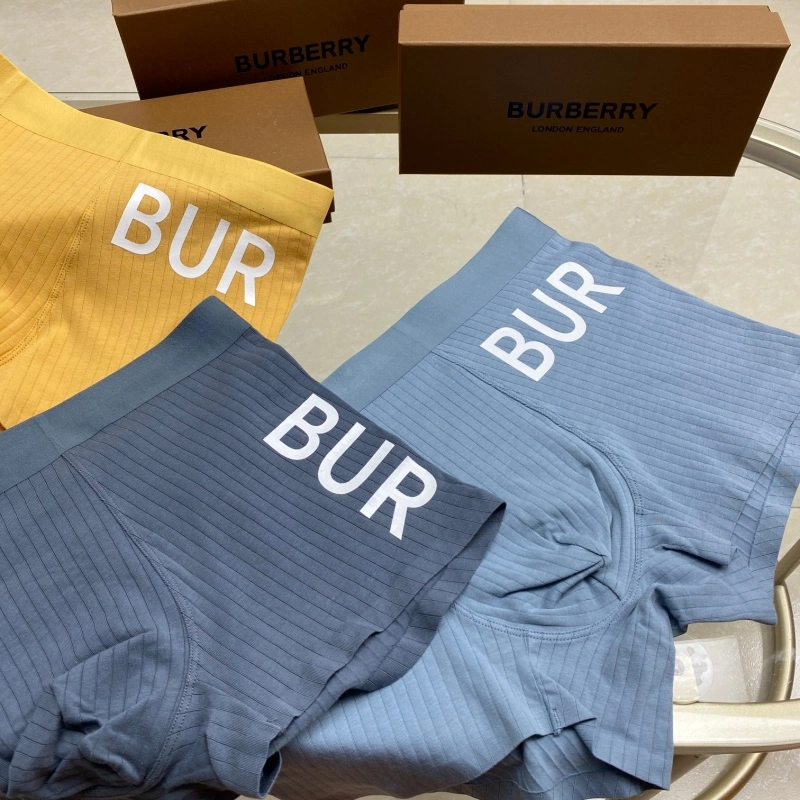 Timeless Burberry Underwear 276510