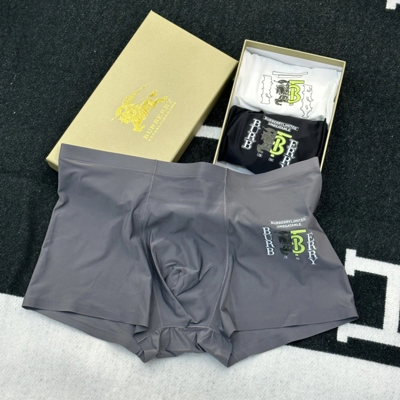 Premium Burberry Underwear 276508