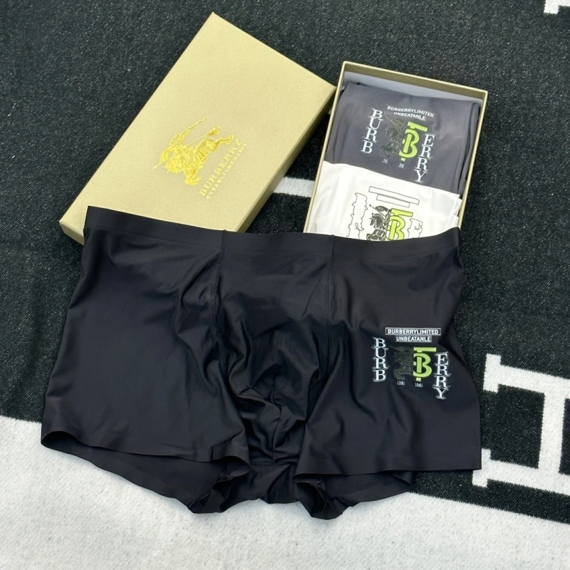 Premium Burberry Underwear 276508