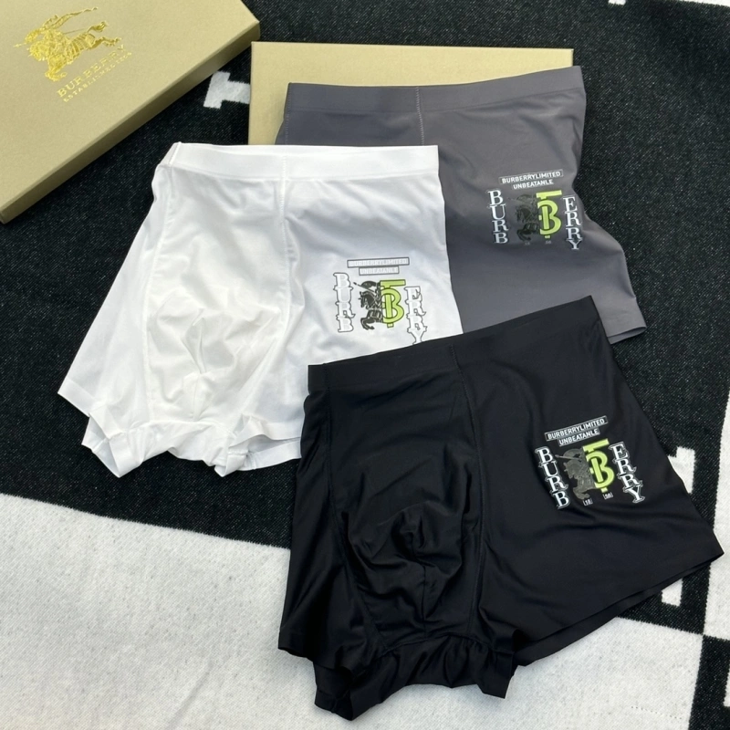 Premium Burberry Underwear 276508
