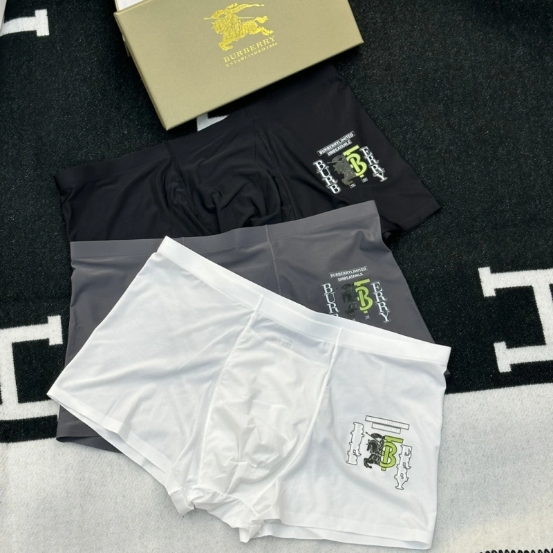 Premium Burberry Underwear 276508