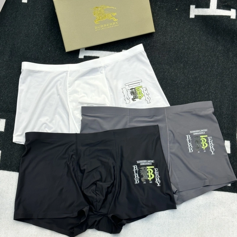 Premium Burberry Underwear 276508