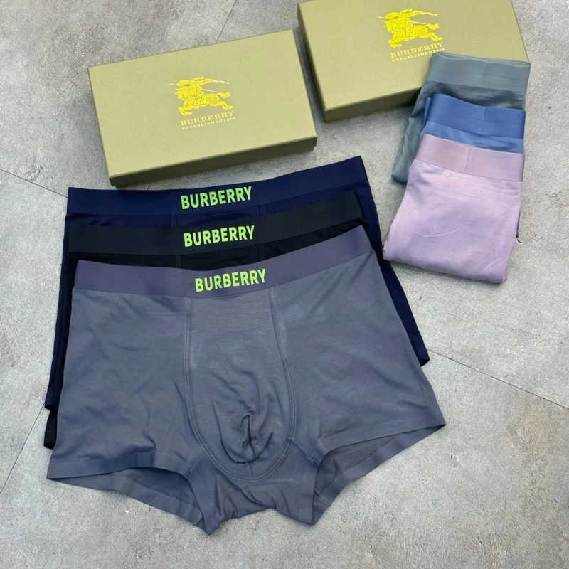 WeatherProof Burberry Underwear 276506