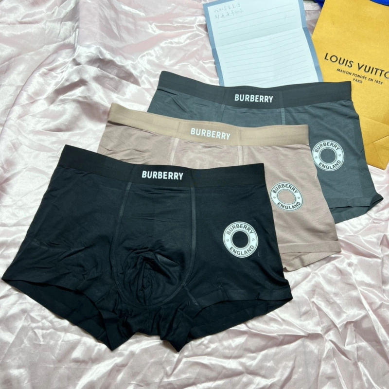 Bold Burberry Underwear 276499
