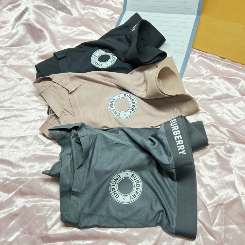 Bold Burberry Underwear 276499