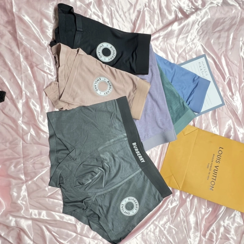 Bold Burberry Underwear 276499