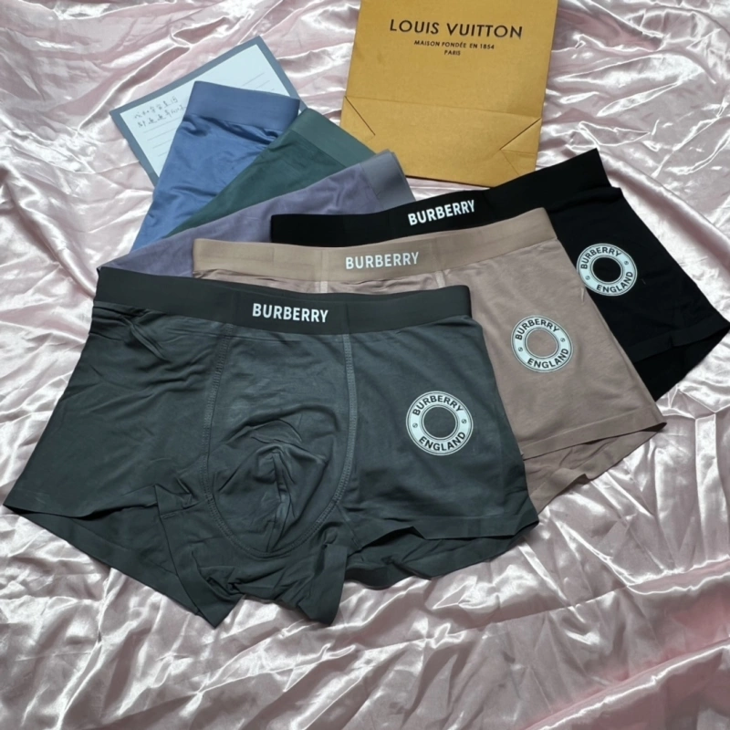 Bold Burberry Underwear 276499