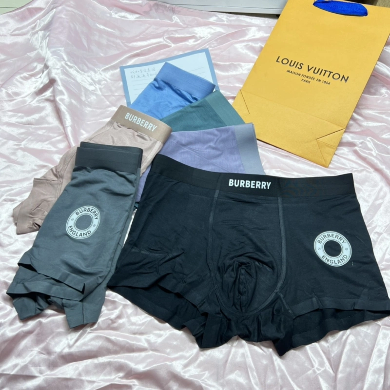 Bold Burberry Underwear 276499