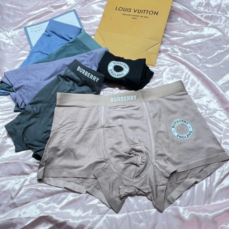 Bold Burberry Underwear 276499