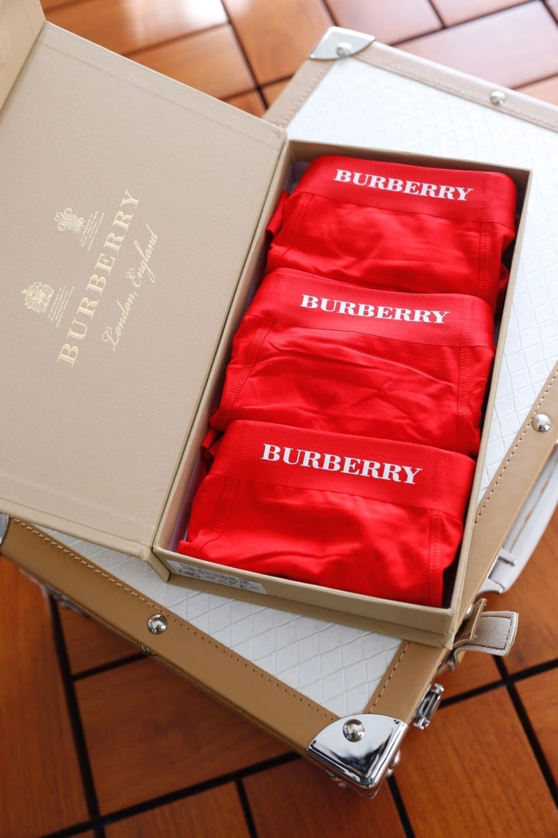 Burberry Underwear Durable 276497