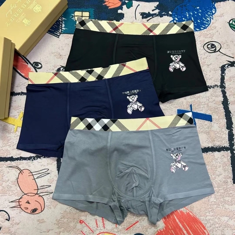 StreetReady Burberry Underwear 276498