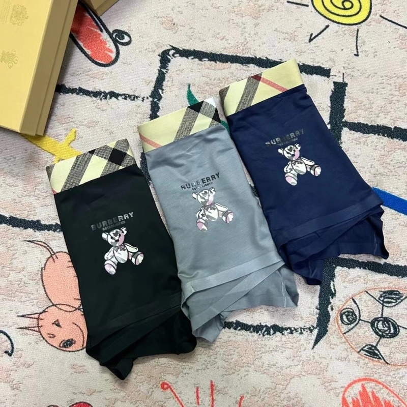 StreetReady Burberry Underwear 276498