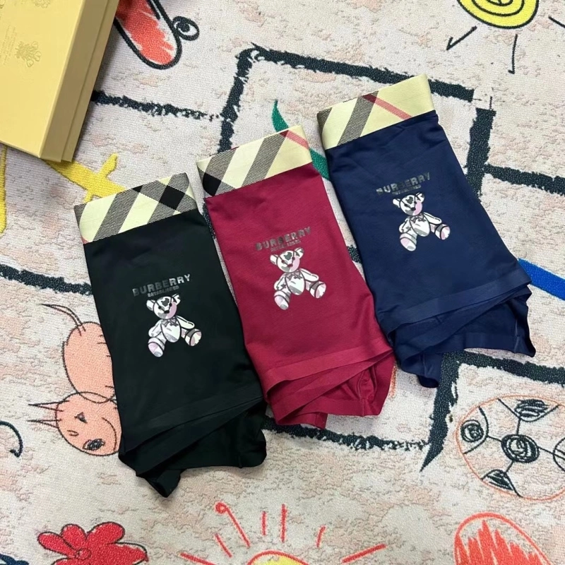 StreetReady Burberry Underwear 276498
