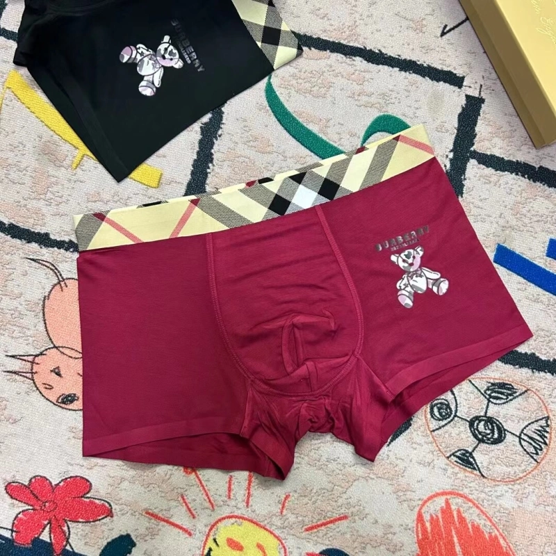 StreetReady Burberry Underwear 276498