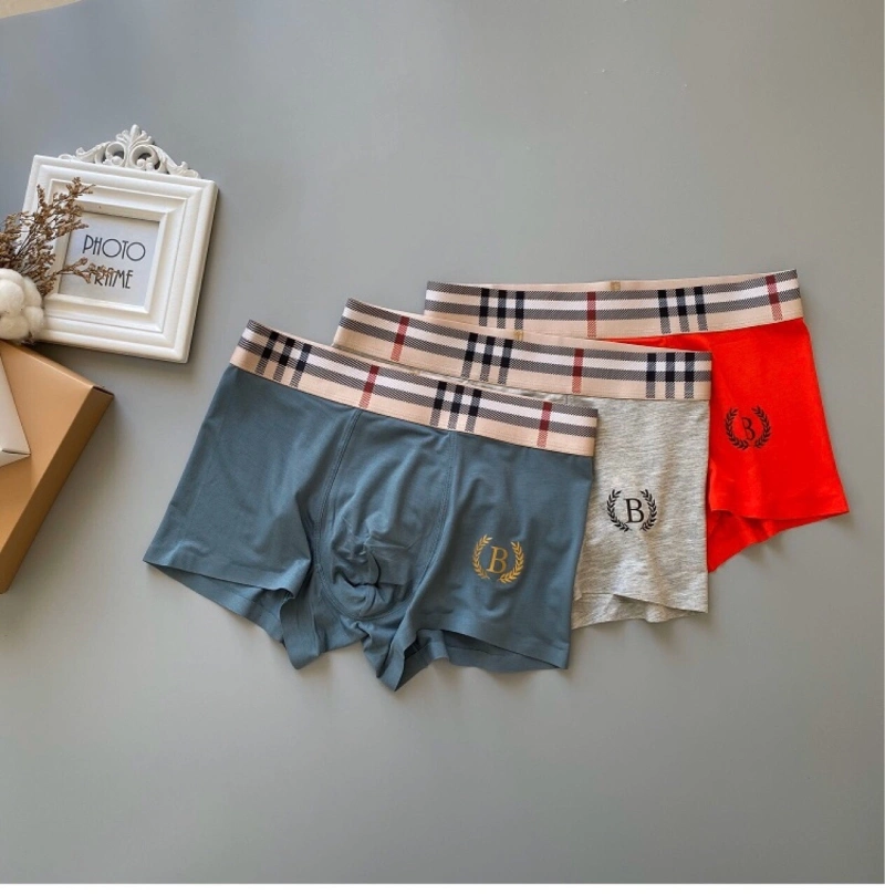 Lightweight Burberry Underwear 276496