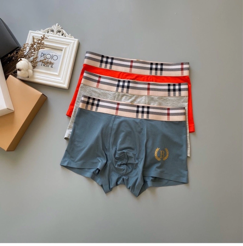 Lightweight Burberry Underwear 276496