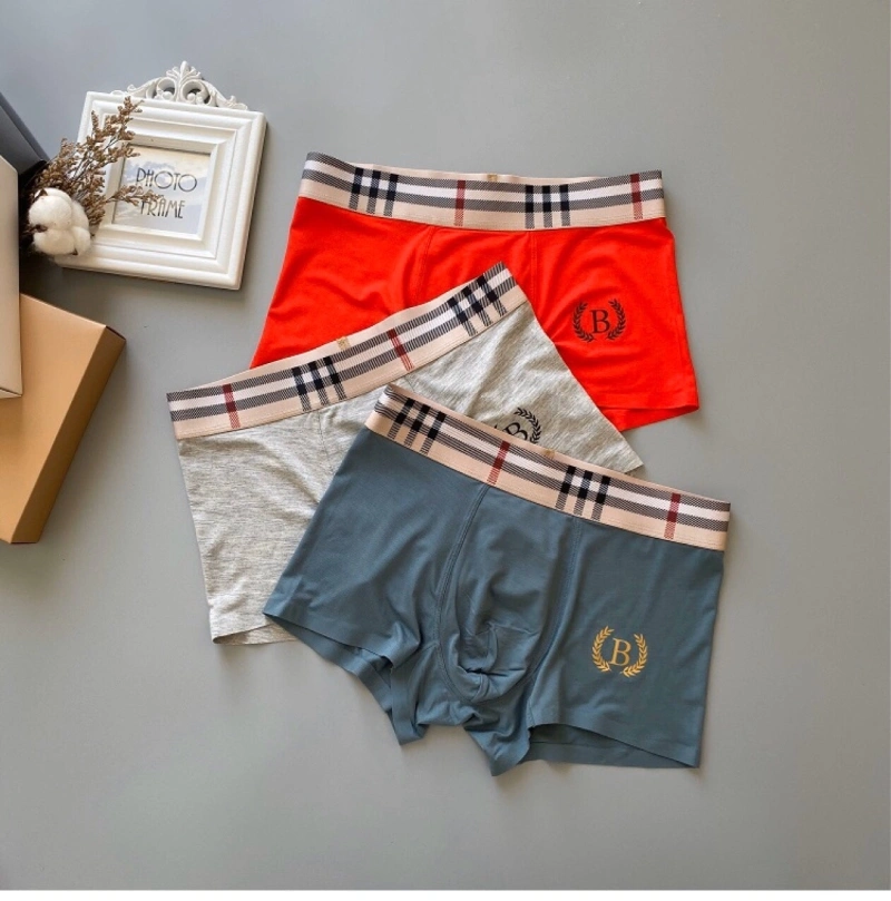 Lightweight Burberry Underwear 276496