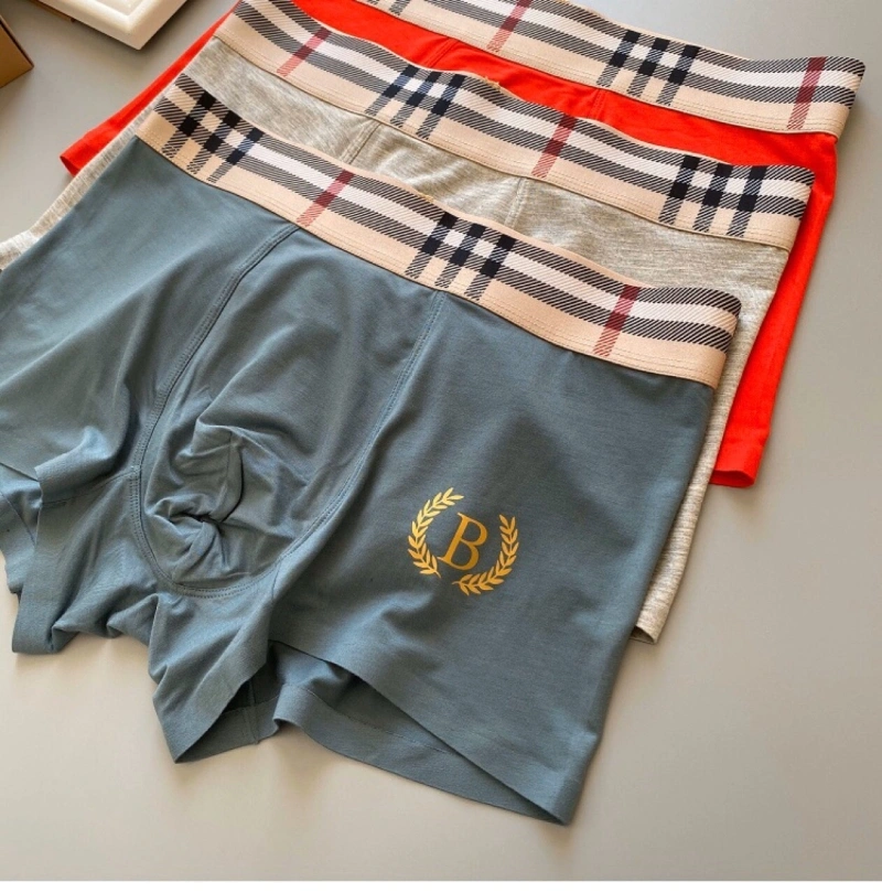 Lightweight Burberry Underwear 276496