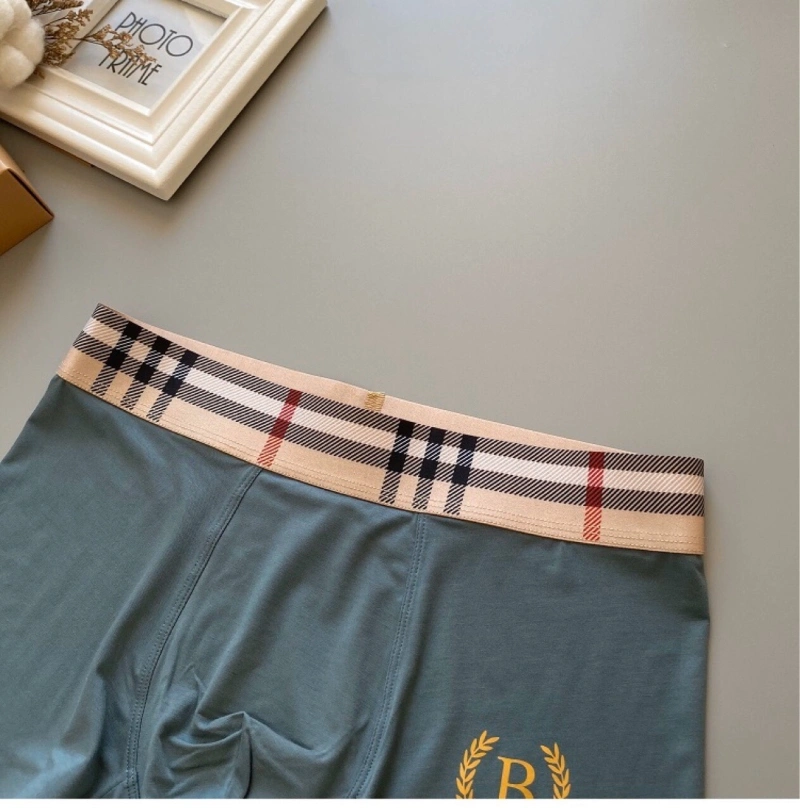 Lightweight Burberry Underwear 276496