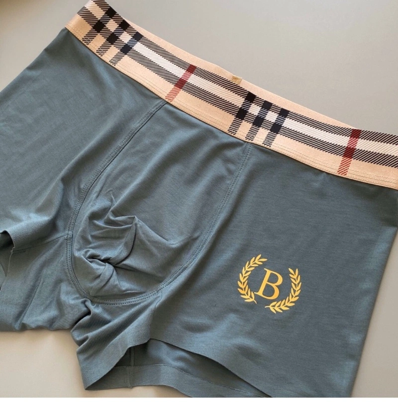 Lightweight Burberry Underwear 276496