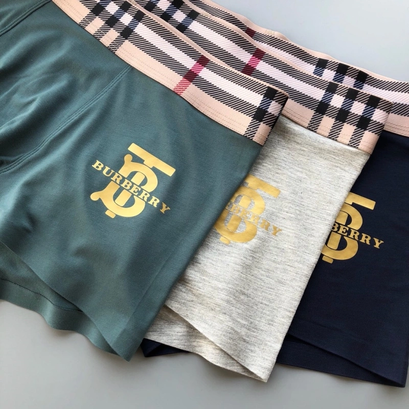 Burberry Underwear Chic 276495