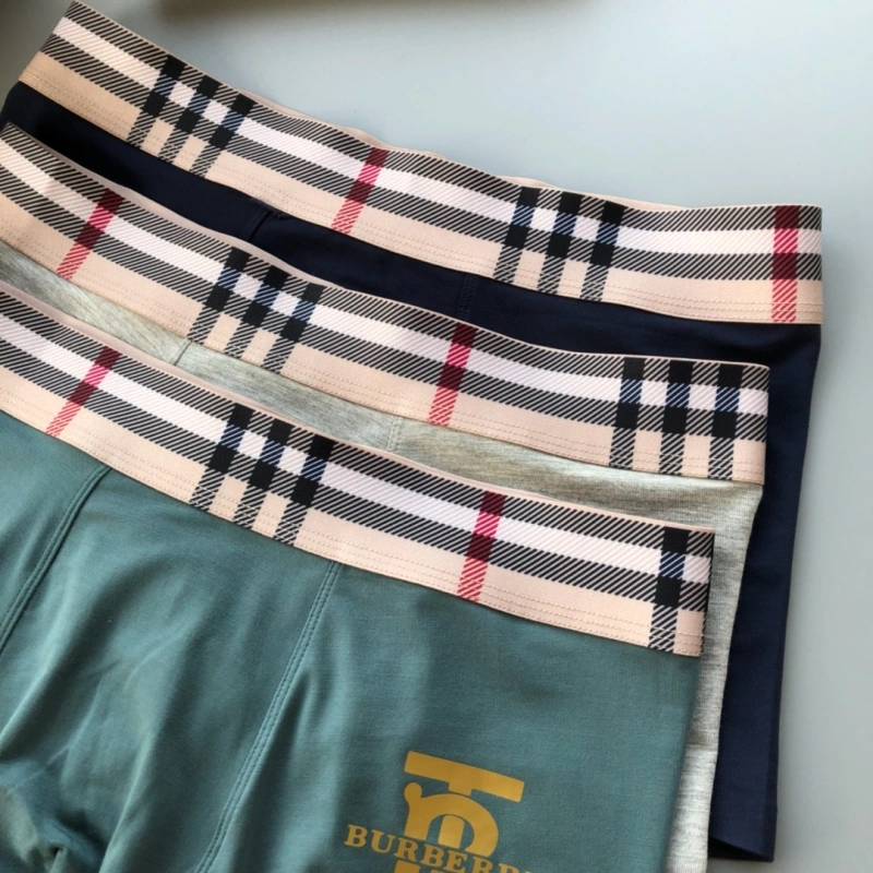 Burberry Underwear Chic 276495