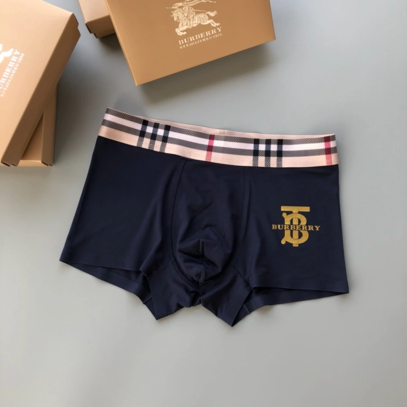 Burberry Underwear Chic 276495