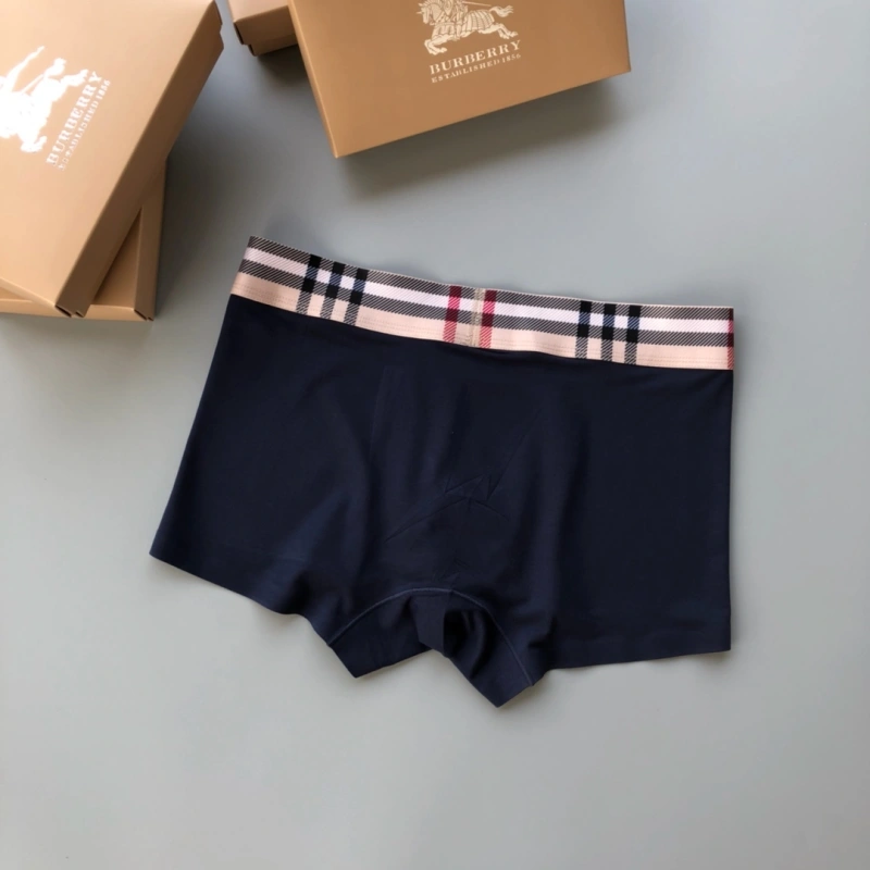 Burberry Underwear Chic 276495