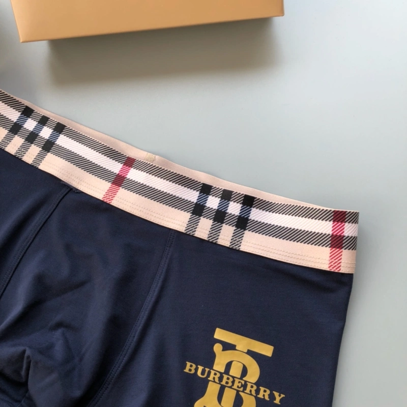 Burberry Underwear Chic 276495